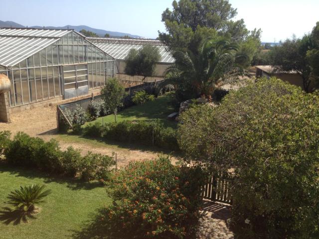 La Contea