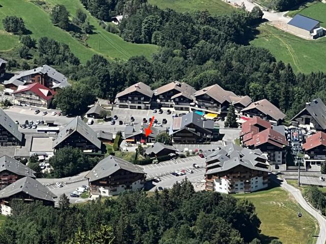 "Chez Muttie" At the heart of Thollon Resort between lake and mountain