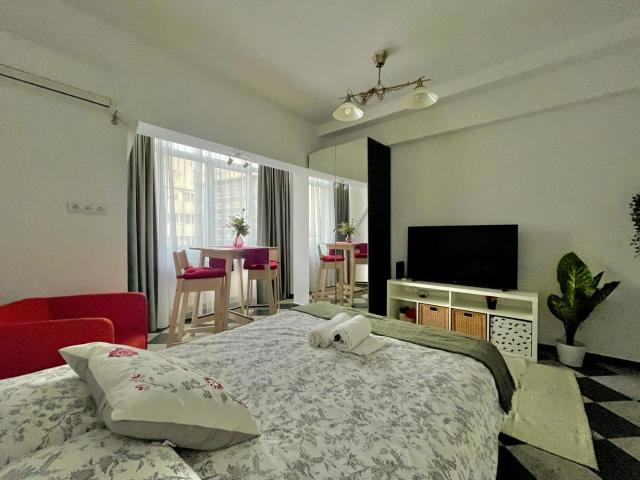 Victoriei spacious studio