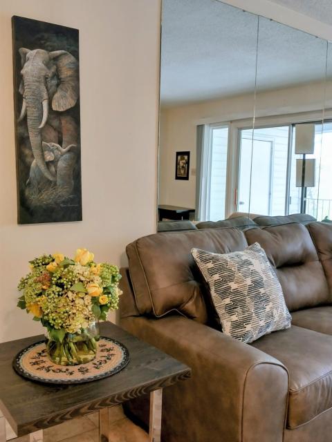 Welcome to Midtown Condo