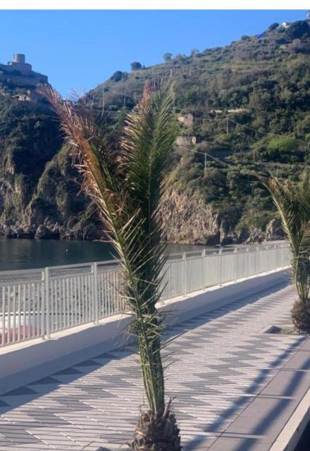 Casa STEVIA appartamento a pochi passi dalla spiaggia