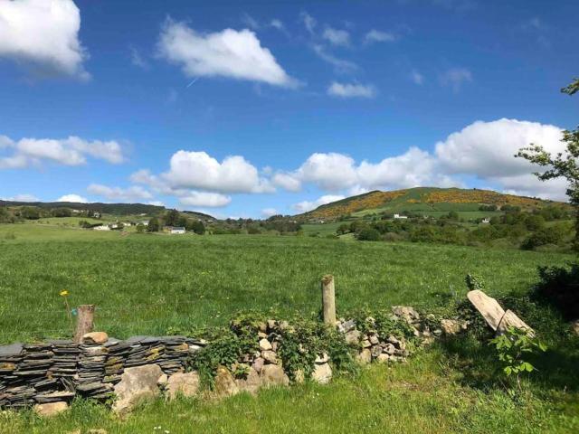 Deerpark Holiday Cottage (1)