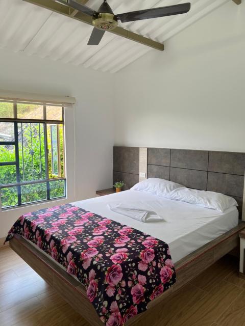 Finca Don Matías