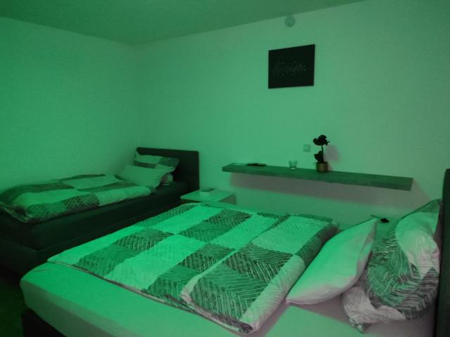 Ferienwohnung Rhein-Main II