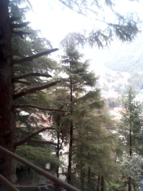 Himalayan Triund Hill View Hostel
