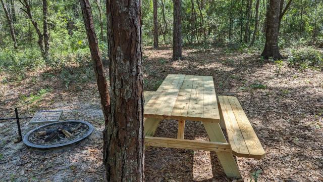 Fanning and Manatee Springs Exclusive Primitive Campground