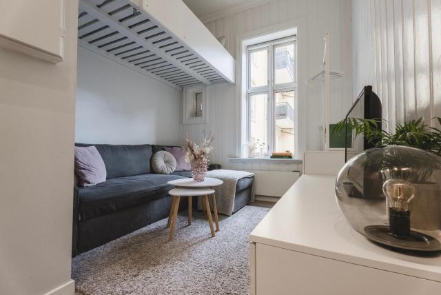 Studio apartment at Solli