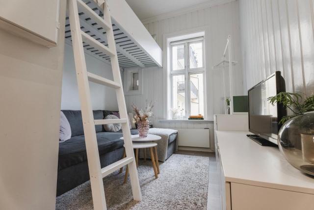 Studio apartment at Solli