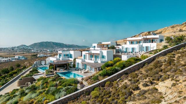 Chrysanthemo villas