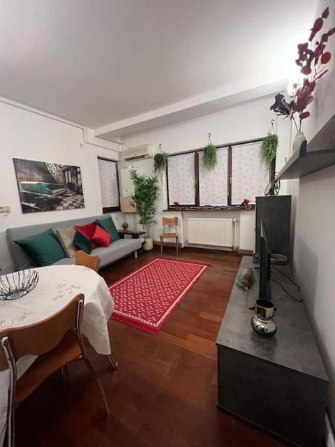 Charming and Cozy apartment in Bucharest center