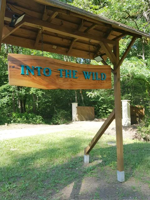 INTO THE WILD - Nos 5 logements "Atypiques"