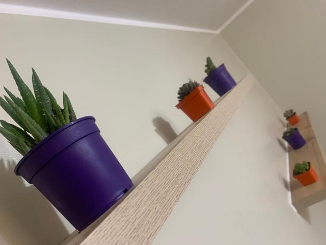Apartamento LA ALBORADA para 7 con cochera