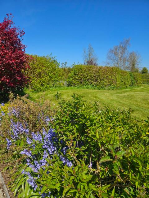 Ard Aoibhinn Roscommon Bed & Breakfast