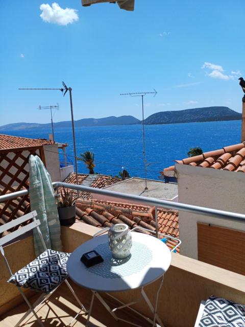 Asterias blue Studio