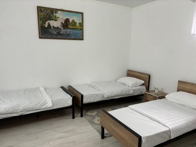 Hostel,halal