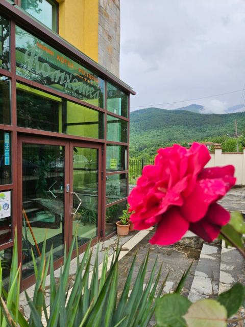 Family Hotel Komhotel