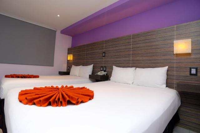 Hotel Kavia
