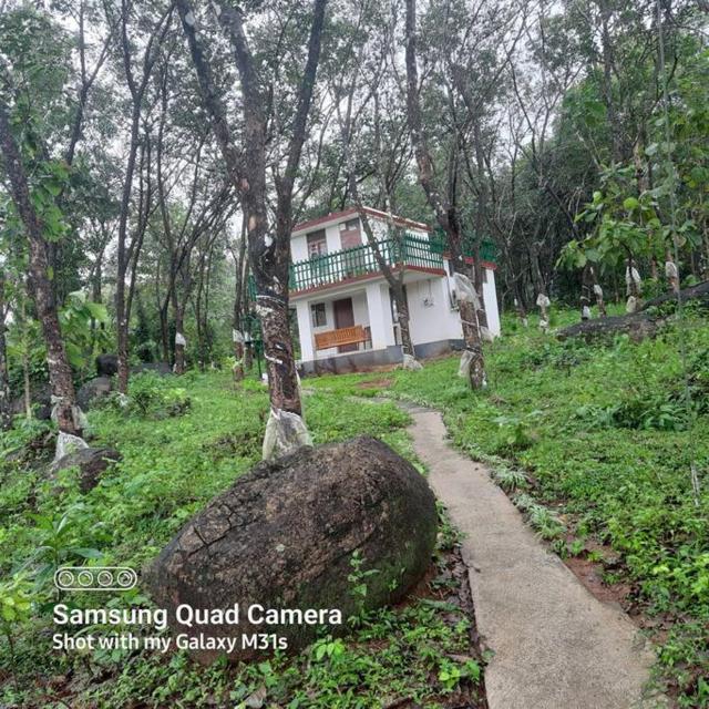 Farm stay in a coffee plantation