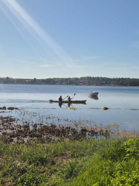 Valjevikens camping
