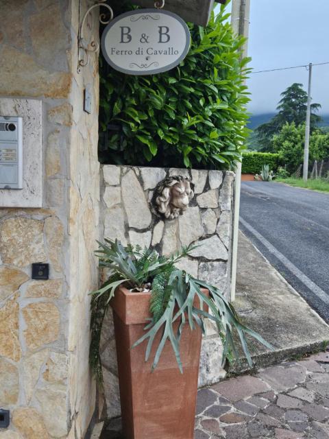B&B Ferro di Cavallo