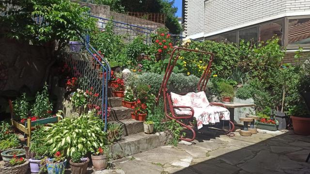 Apartmani Lovcen