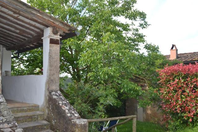 Il Rustico Vicopisano