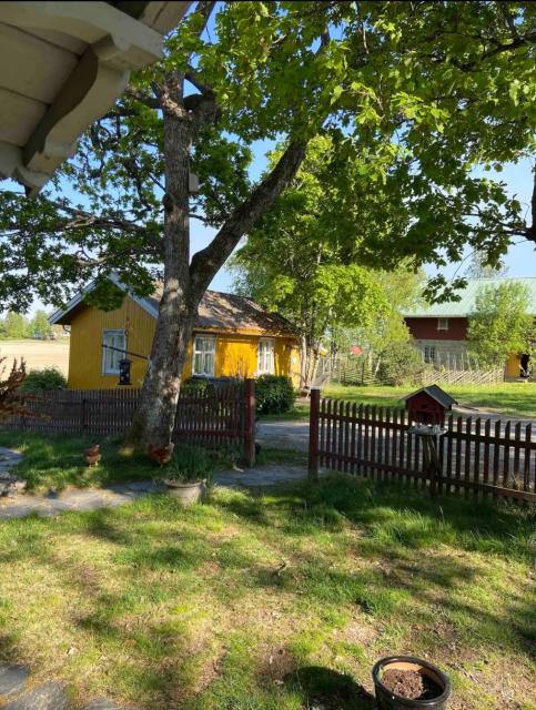 Farm stay in cozy cabin at Vestre Kinn