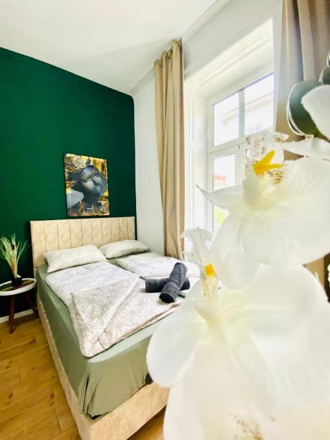 Budget Private Rooms in 8-Bedroom Apartment with Terrace