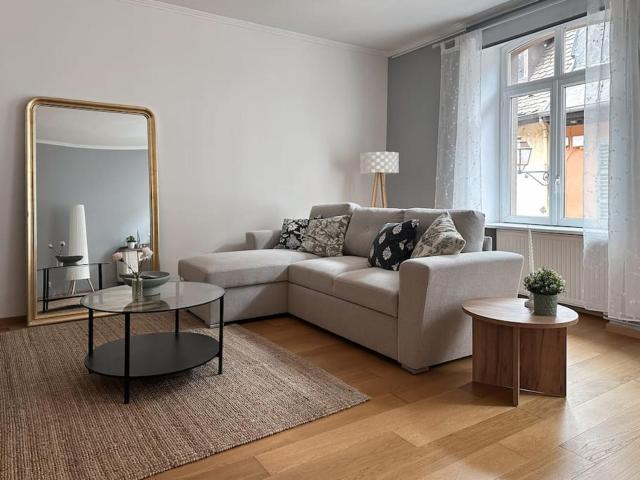 Hypercentre 80m2, à deux pas du Château des Rohan