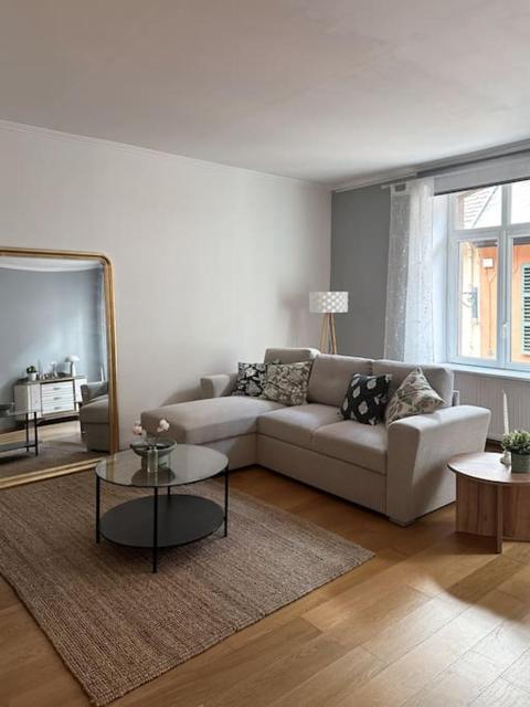 Hypercentre 80m2, à deux pas du Château des Rohan