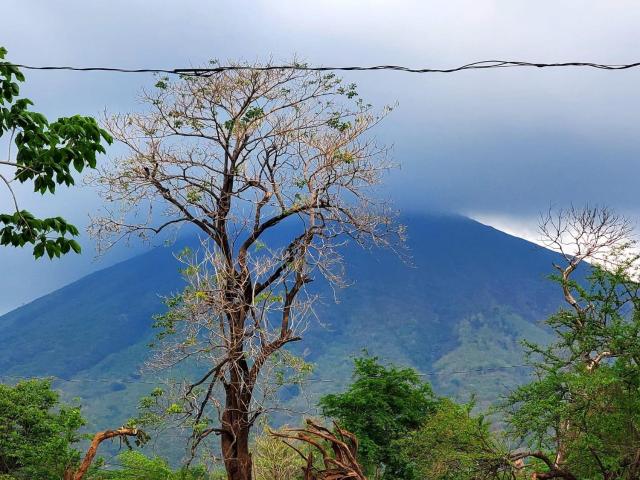 Vacacional Abril