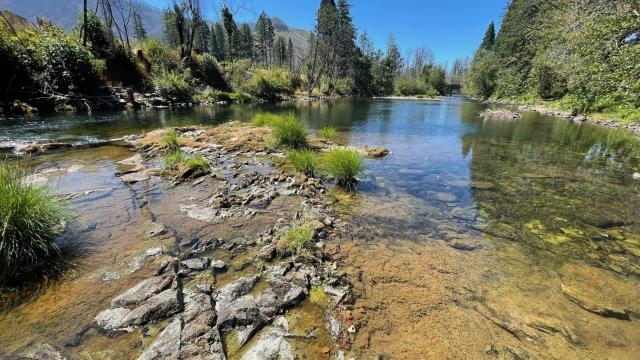 McKenzie River Mountain Resort
