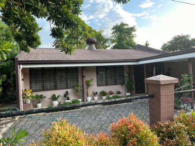 The Downtown Cabin Bohol