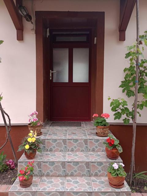 Casa Dragoi din Socolari, 218, Caras - Severin