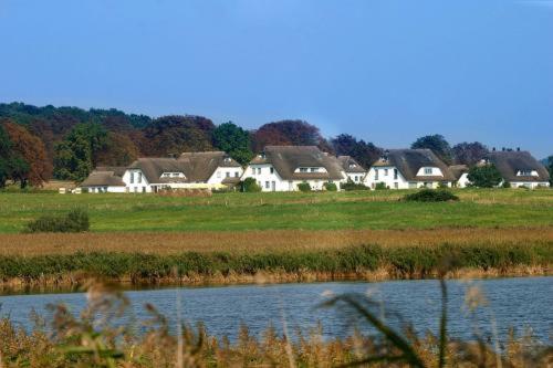 Landhotel Kastanienallee Putbus