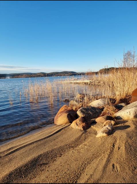 Guldkusten i Höga kusten