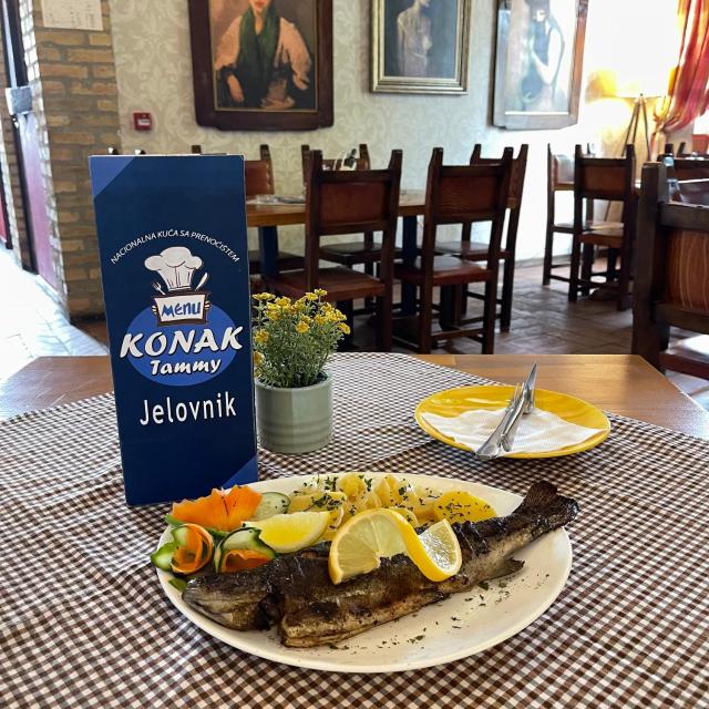 Hotel Konak Tammy Platičevo - Šabac