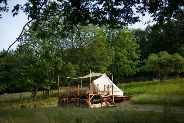 Glamping & Farm Zlaté Podlesí - Stan na louce