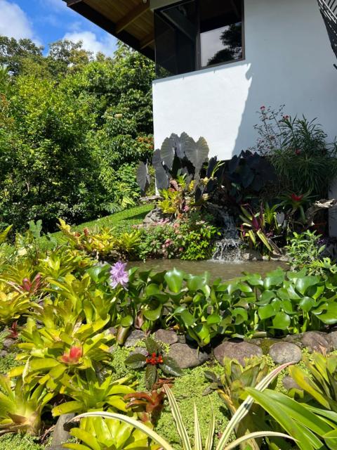 Bromelia House
