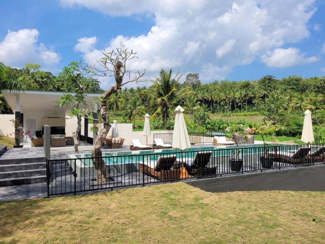 Villa Norwegia - pool with panorama rice field view