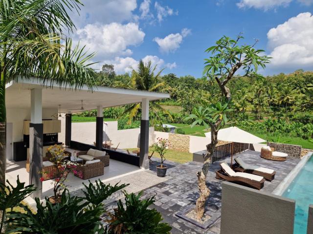 Villa Norwegia - pool with panorama rice field view