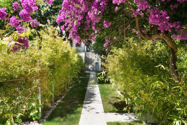 Jardim de Copas