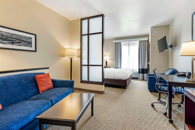 Comfort Suites Palestine
