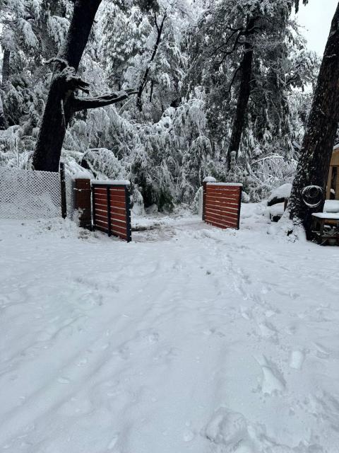 Cabañas Termas de Chillán