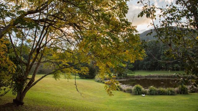 Mavis's Cabins @ Mt Warning