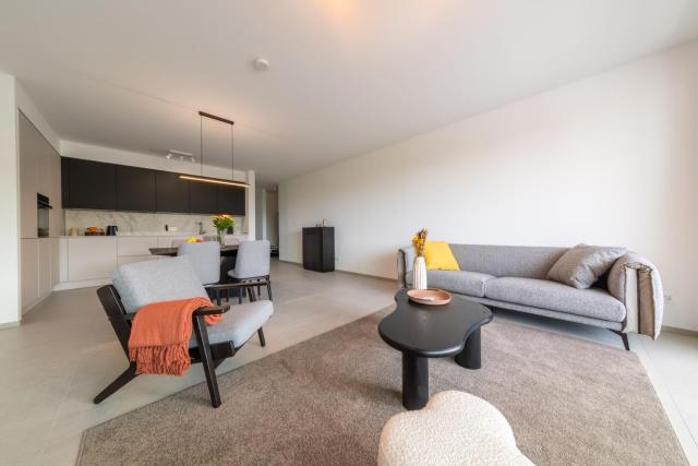 Halternative Residence Renaissance