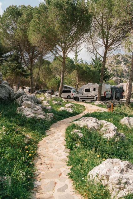 Camping TajoRodillo