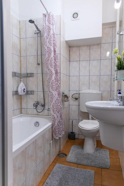 Color Apartment Regina Elisabeta 23