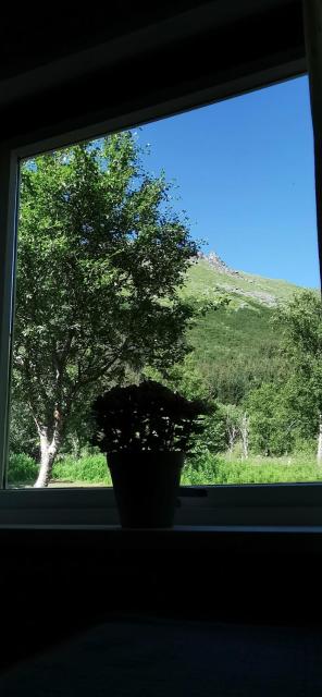 Mountain Trip Apartment