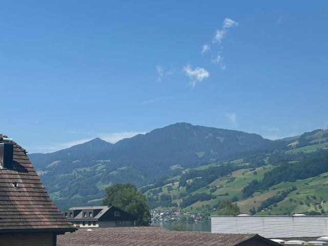 NH 3 Interlaken- Lucerne Lake I Mountain I unique I connect